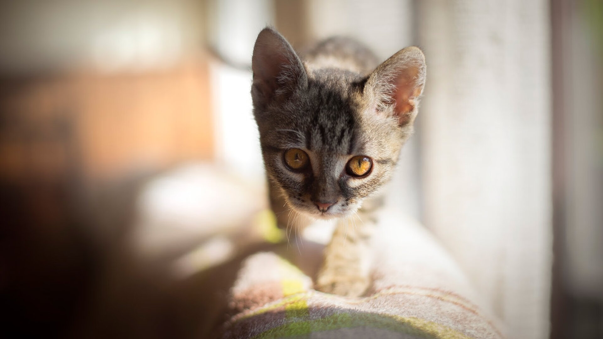 国足高压下传球成功率对比，足球高压战术